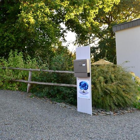Bleus Nuit Bed & Breakfast Lierneux Exterior foto